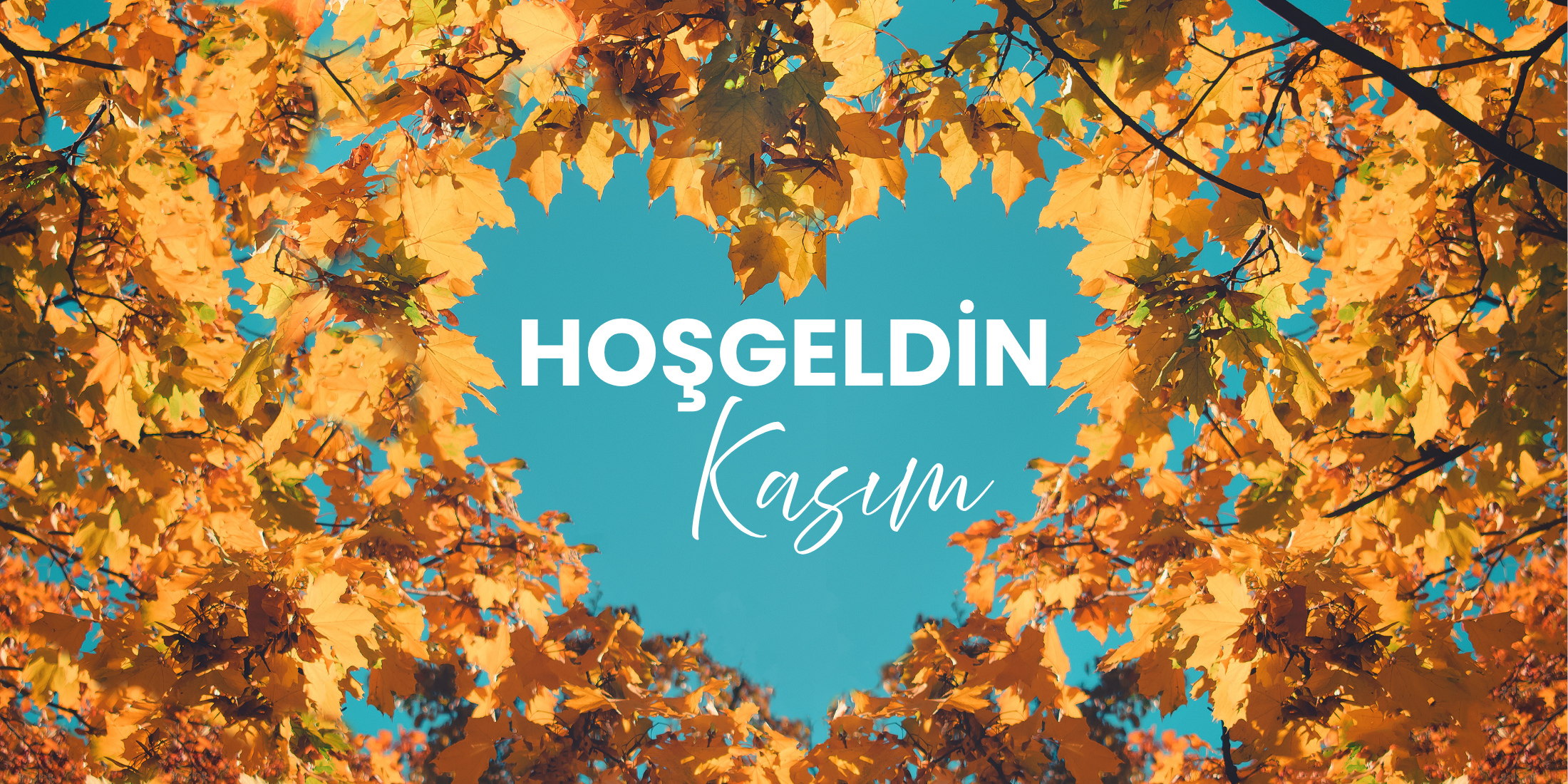 Hoş Geldin Kasım, Zarafetin Mevsimi Başlıyor