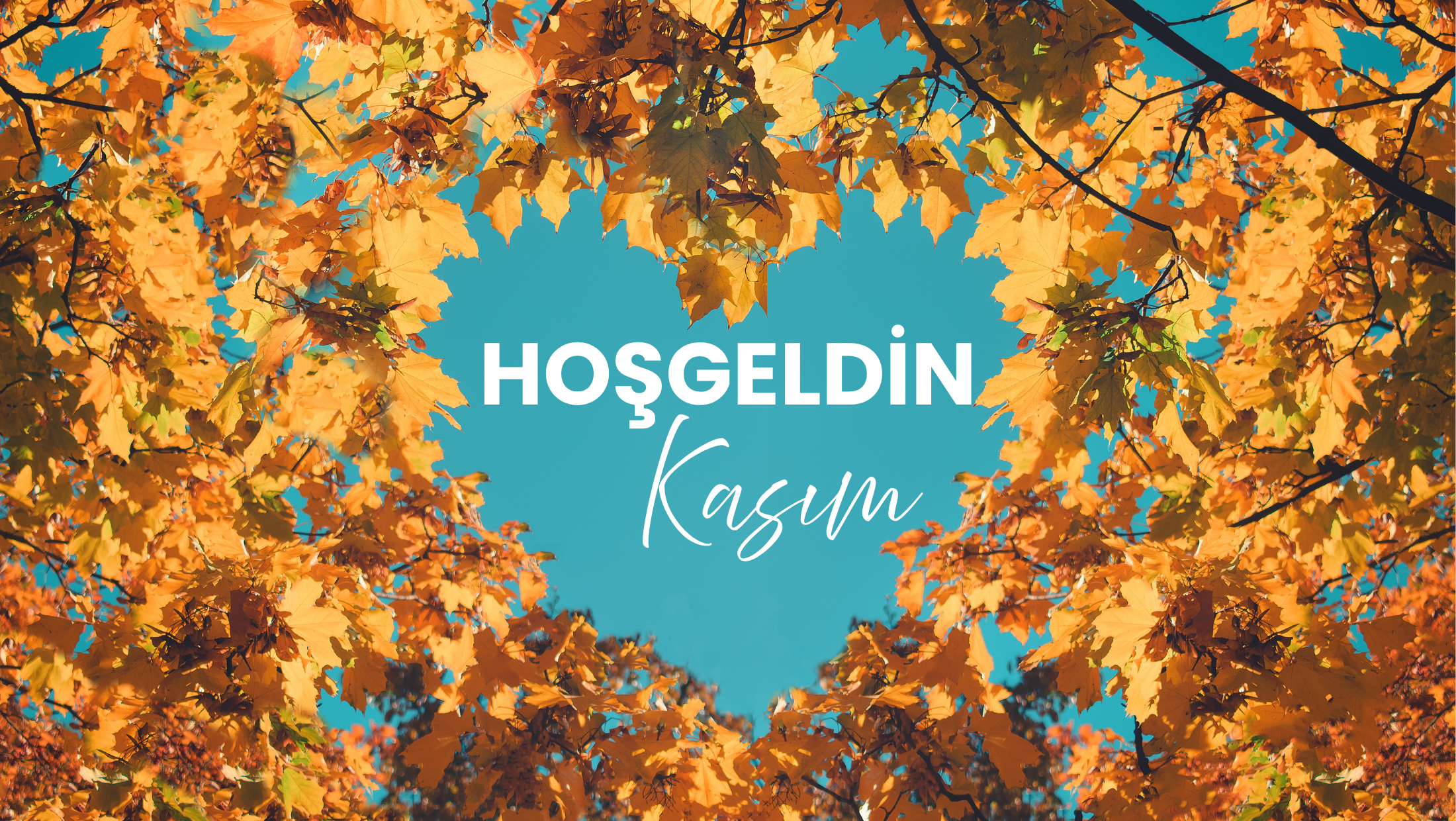 Hoş Geldin Kasım, Zarafetin Mevsimi Başlıyor