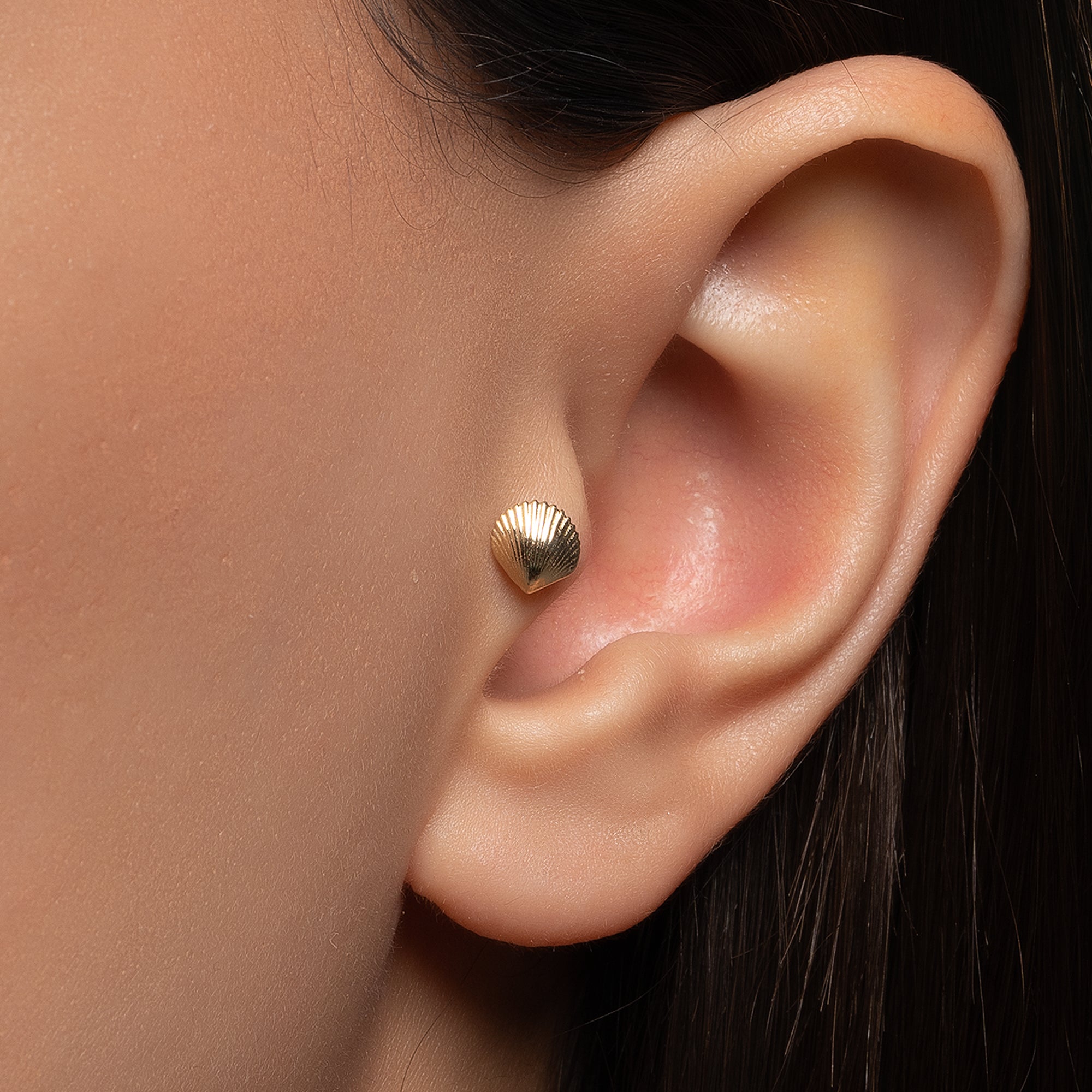 Deniz Kabuğu Altın Piercing / 14 Ayar Sarı Altın