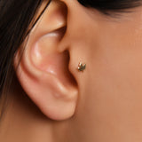 Akçaağaç Yaprağı Altın Piercing / 14 Ayar Sarı Altın