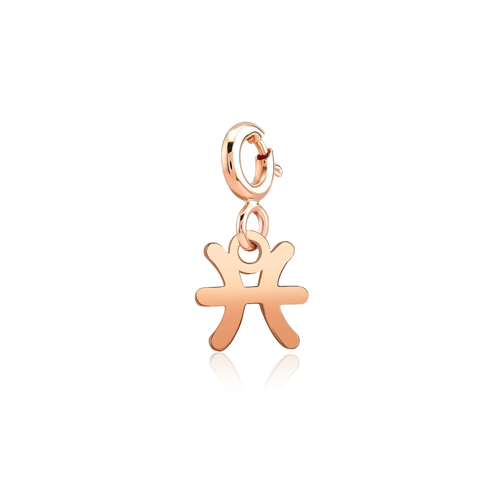 Balık Burcu Pisces Altın Charm Sarı Altın / TR