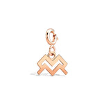 Kova Burcu Aquarius Altın Charm Rose Altın / TR