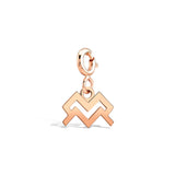 Kova Burcu Aquarius Altın Charm Rose Altın / TR