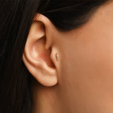 Gusto Renkli Taşlı Bar Altın Tragus Piercing / 14 Ayar Sarı Altın