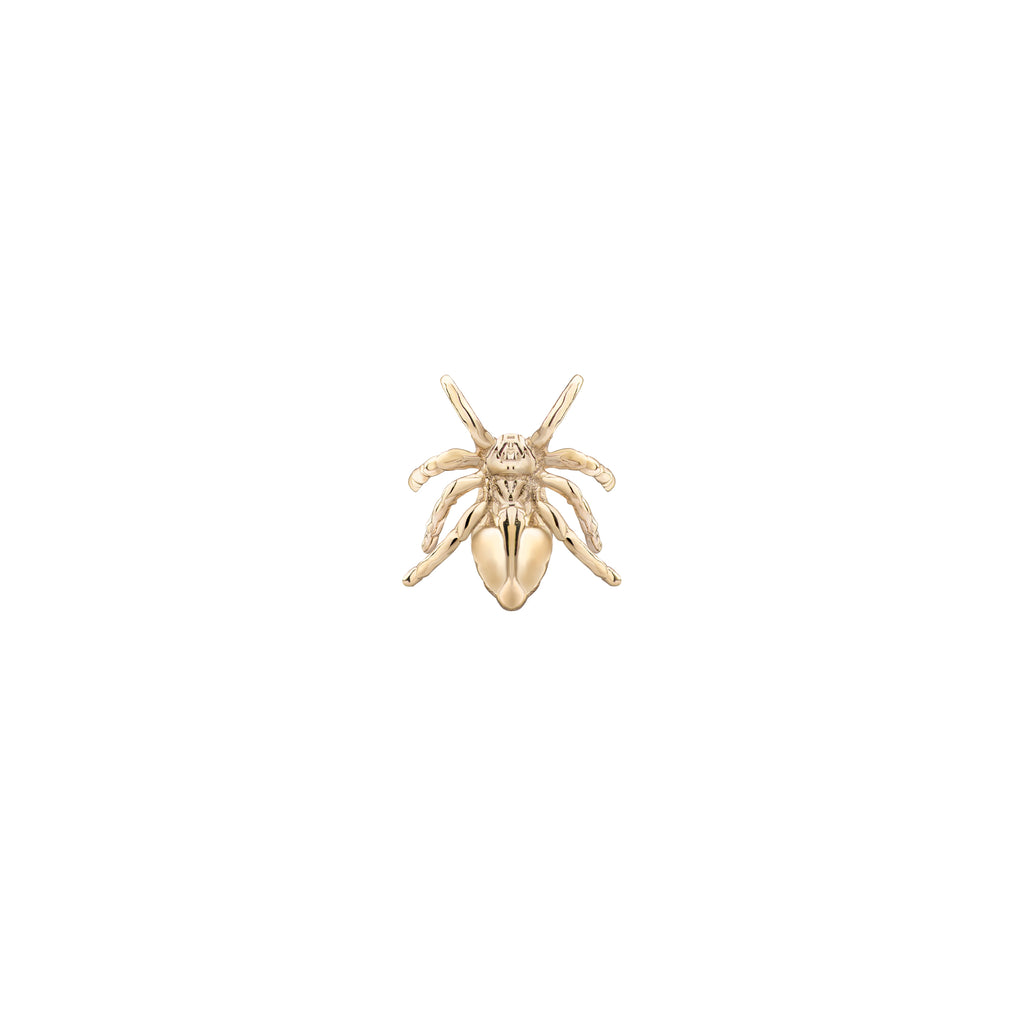 Spider Gold Piercing