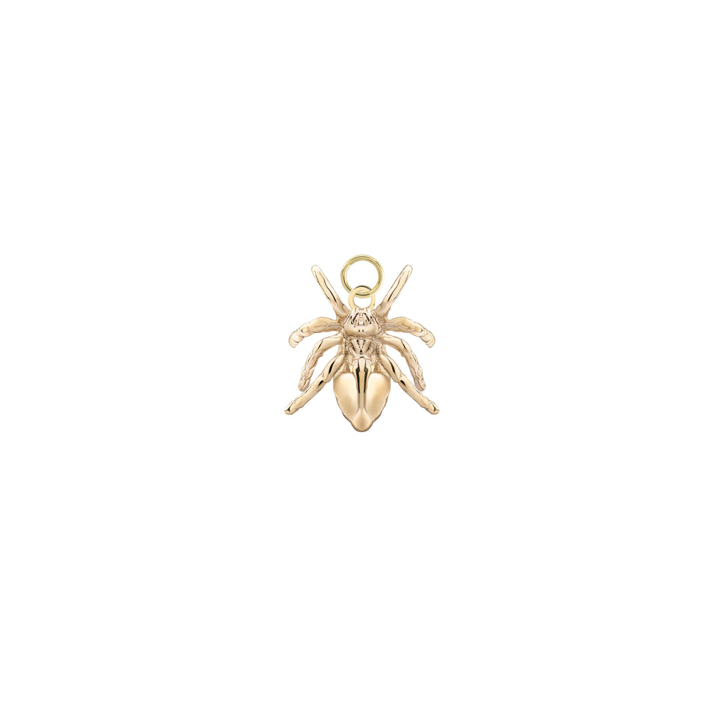 Spider Gold Charm
