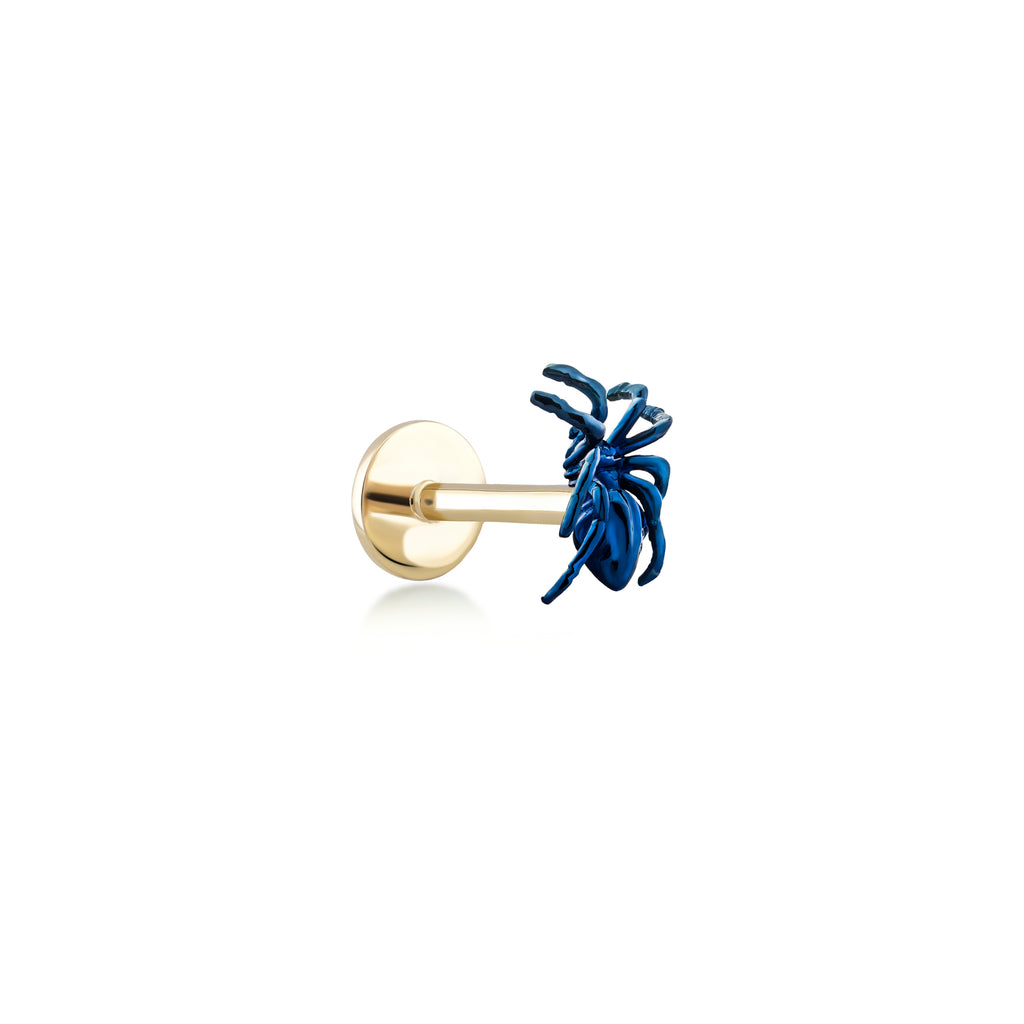 Blue Spider Gold Piercing