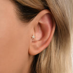 Gusto Deniz Yıldızı Taşlı Altın Tragus Piercing / 14 Ayar Sarı Altın / Model