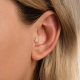 Gusto Deniz Yıldızı Taşlı Altın Tragus Piercing / 14 Ayar Sarı Altın / Model