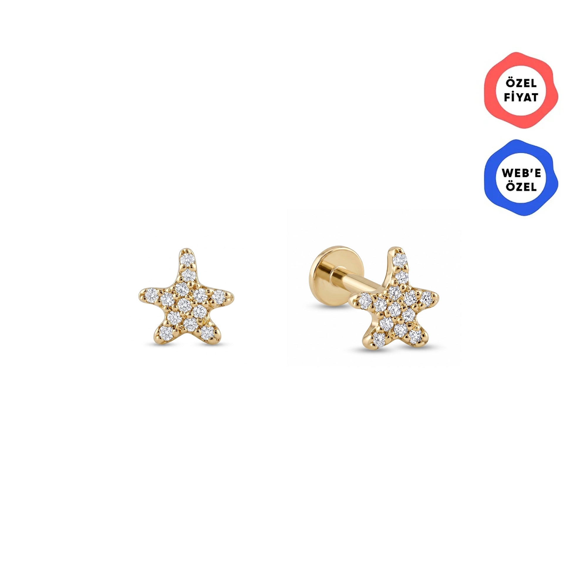 Gusto Deniz Yıldızı Taşlı Altın Tragus Piercing / 14 Ayar Sarı Altın