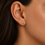Apus Gold Earrings with Stones