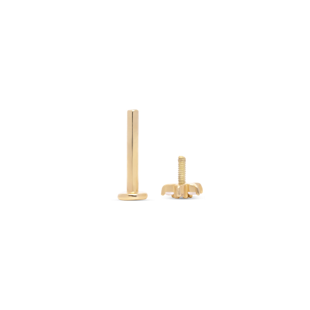 İnci Altın Tragus Piercing / 14 Ayar Sarı Altın