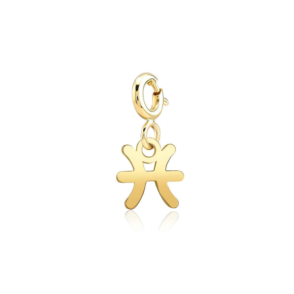 Balık Burcu Pisces Altın Charm Sarı Altın / TR