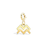 Kova Burcu Aquarius Altın Charm Sarı Altın / TR