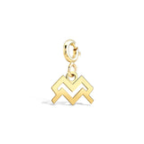 Kova Burcu Aquarius Altın Charm Sarı Altın / TR