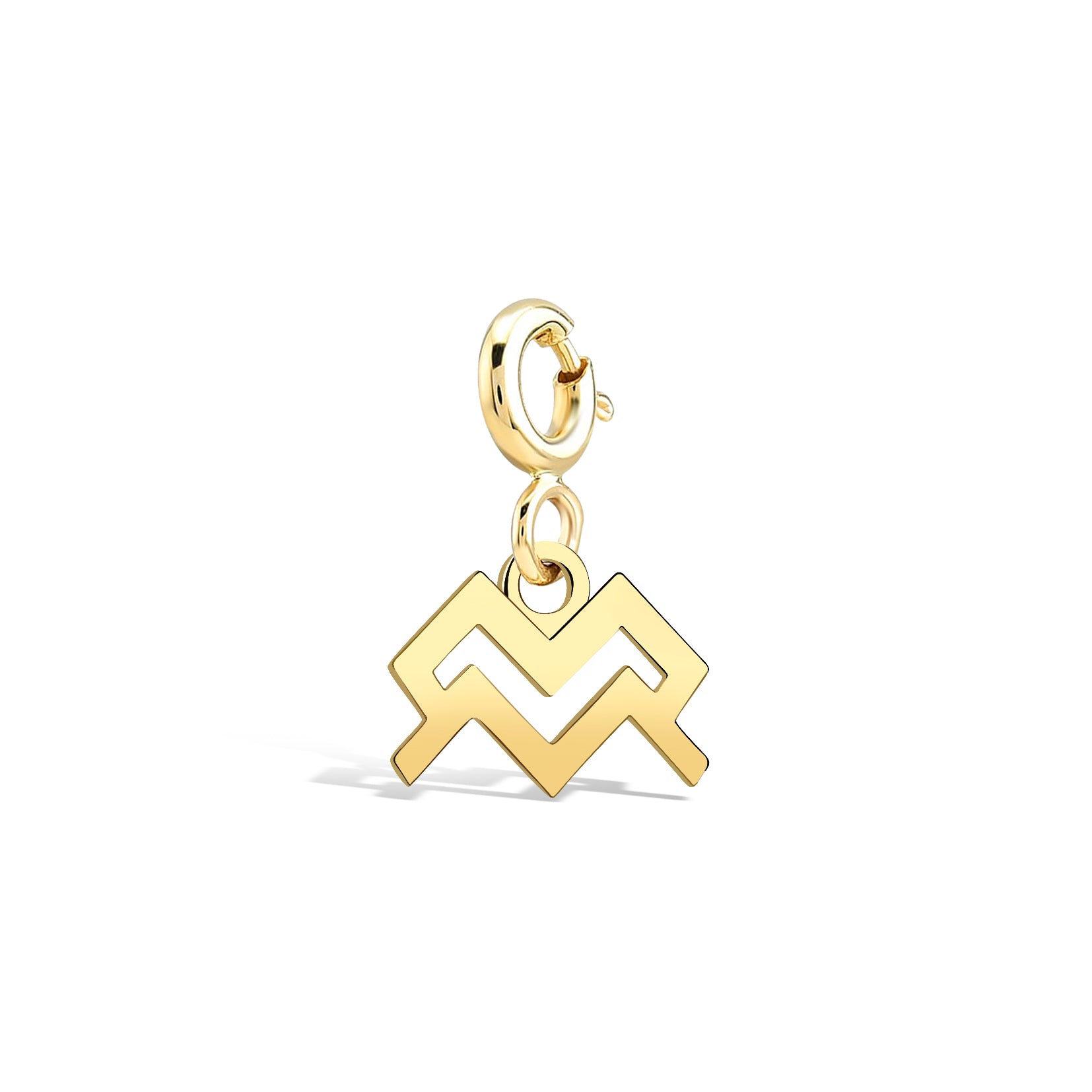 Kova Burcu Aquarius Altın Charm Sarı Altın / TR