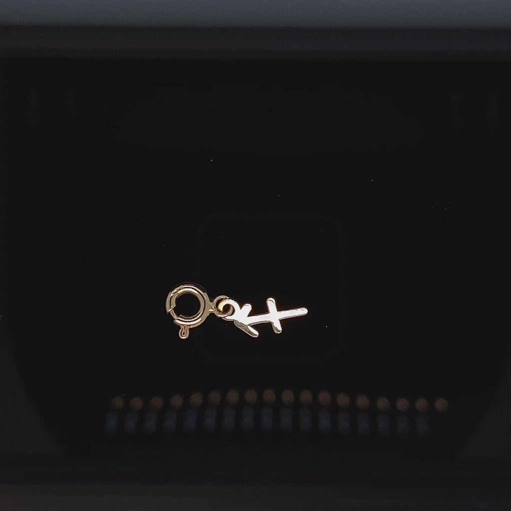 Yay Burcu Sagittarius Altın Charm / TR