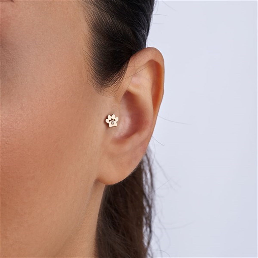 Pırlanta Pati Piercing TR