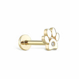 Pırlanta Pati Piercing TR